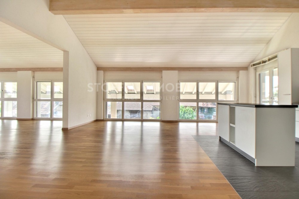 Spacious, bright 6.5-room apartment with terrace - Exclusive