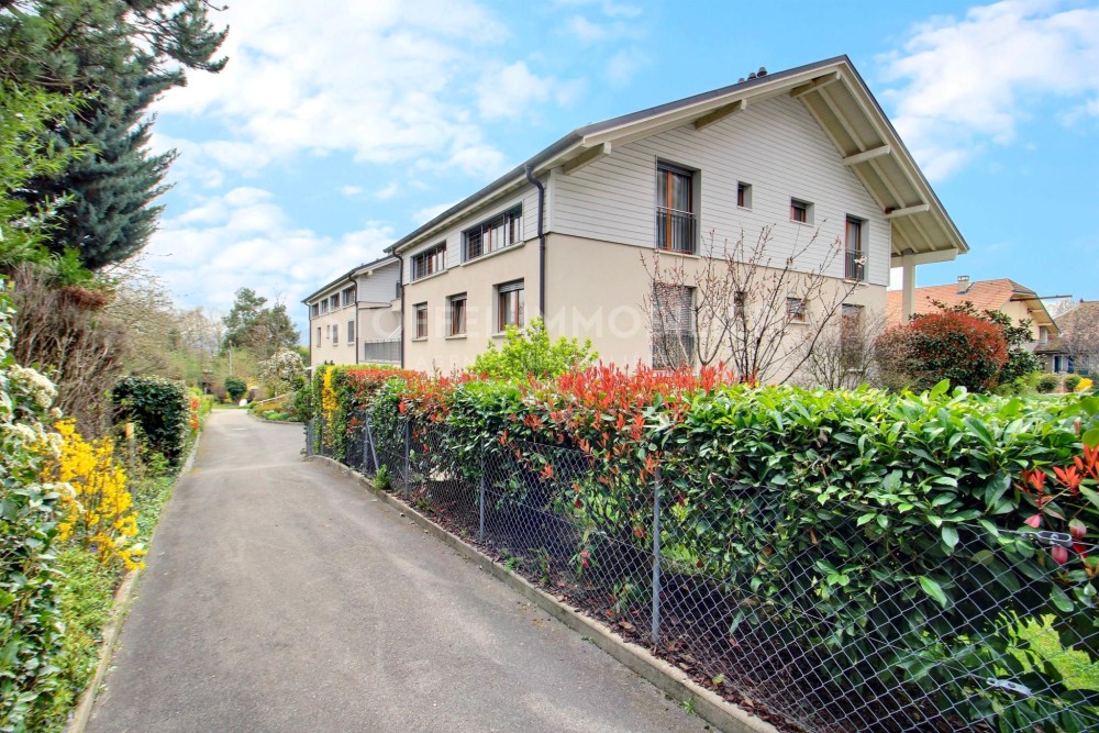 Spacious, bright 6.5-room apartment with terrace - Exclusive