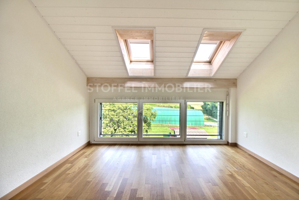 Spacious, bright 6.5-room apartment with terrace - Exclusive