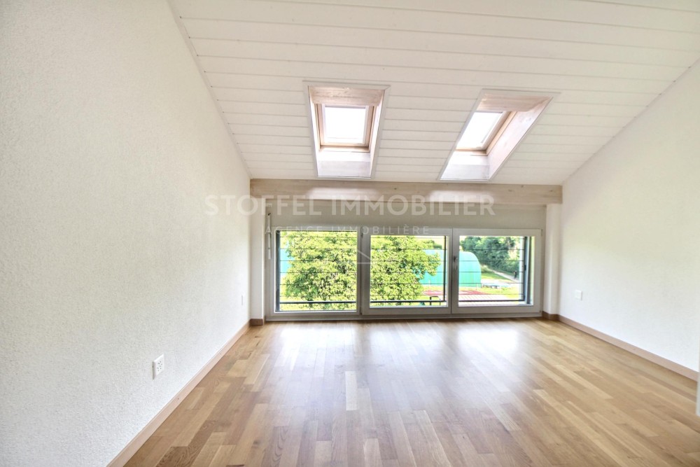 Spacious, bright 6.5-room apartment with terrace - Exclusive