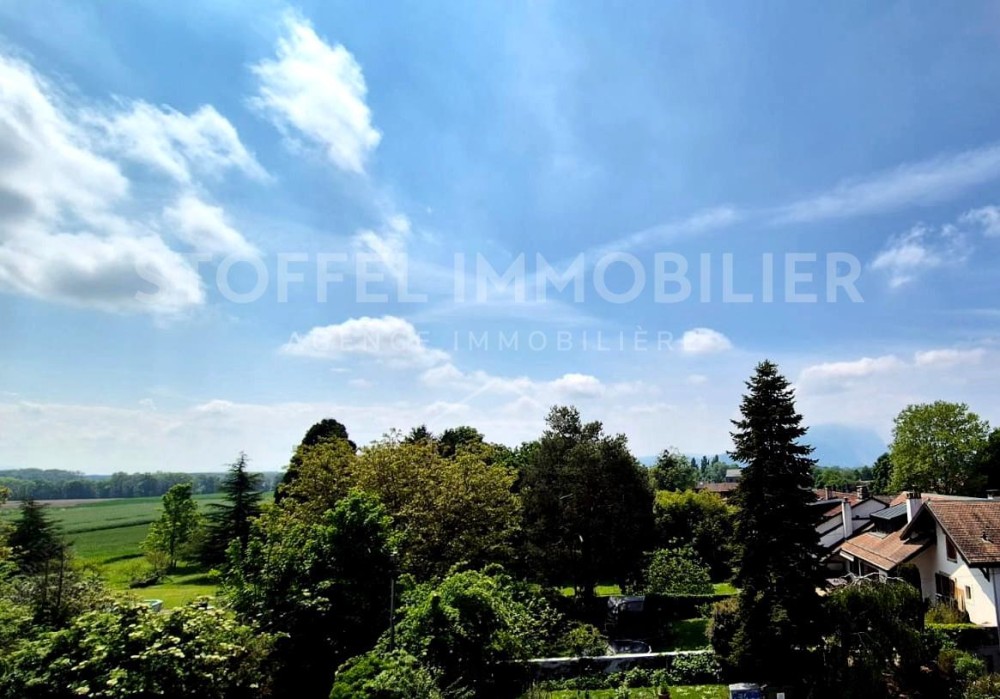 Spacious, bright 6.5-room apartment with terrace - Exclusive