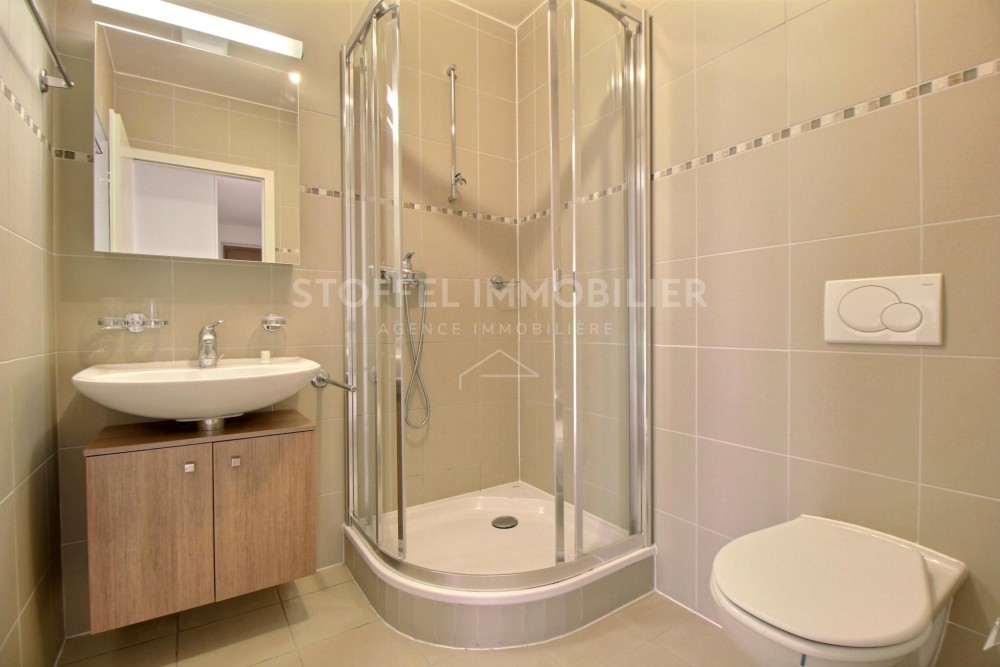Spacious, bright 6.5-room apartment with terrace - Exclusive