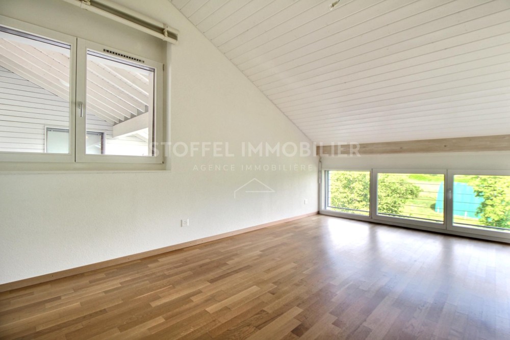 Spacious, bright 6.5-room apartment with terrace - Exclusive