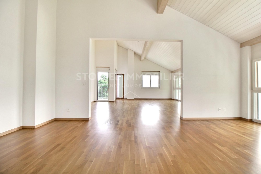 Spacious, bright 6.5-room apartment with terrace - Exclusive