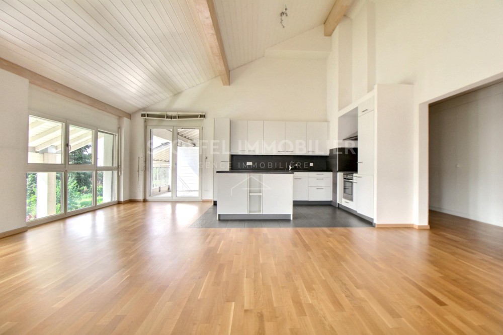 Spacious, bright 6.5-room apartment with terrace - Exclusive