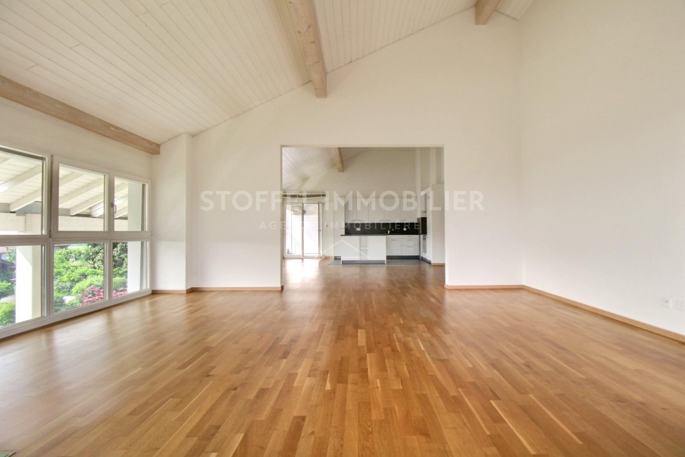 Spacious, bright 6.5-room apartment with terrace - Exclusive